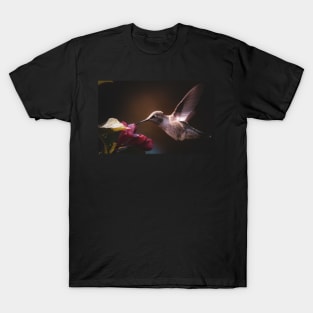 Hummingbird at red flower T-Shirt